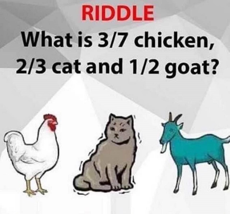 what is 3/7 chicken 2/3cat 2/4 goat