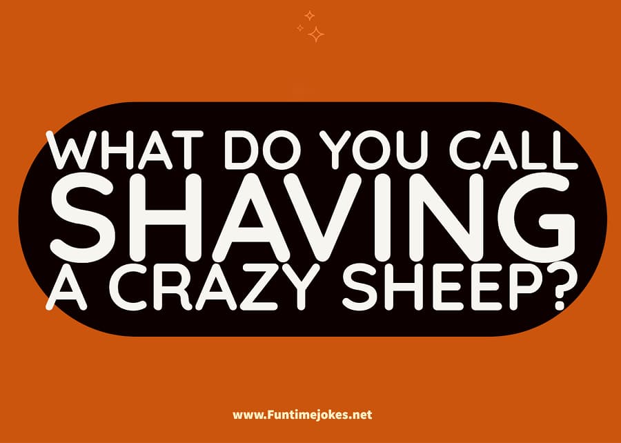 What do you call shaving a crazy sheep?